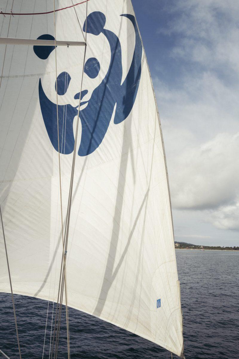 Festival de Porquerolles, Laurent PARIENTI photographe officiel du Festival depuis sa création en 2020. Festival de cinéma ...