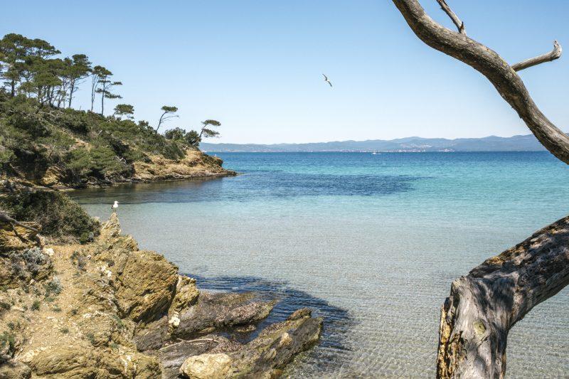 Reportage Photo Corporate :  Provence Med