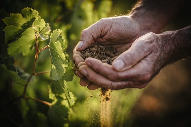 Reportage Photo Corporate :  Provence Med