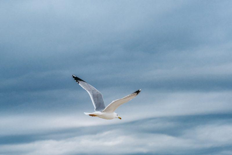 Reportage Photo Corporate :  Provence Med