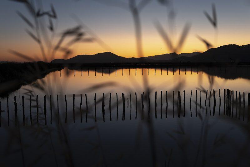 Photographe Toulon Var -Laurent Parienti - L'Oeil des Cyclopes