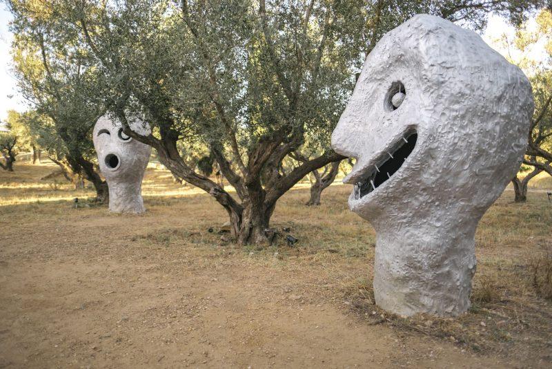 Fondation Carmignac île de Porquerolles, photographe Laurent Parienti