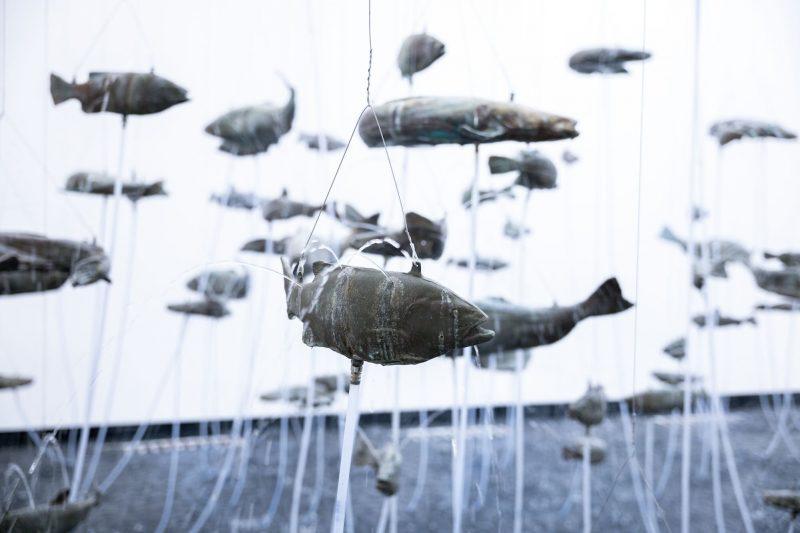 Fondation Carmignac île de Porquerolles, photographe Laurent Parienti