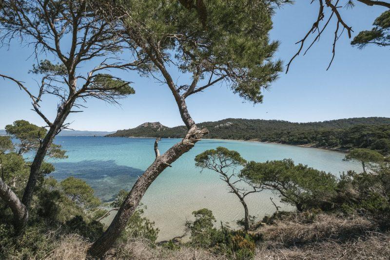 Fondation Carmignac île de Porquerolles, photographe Laurent Parienti