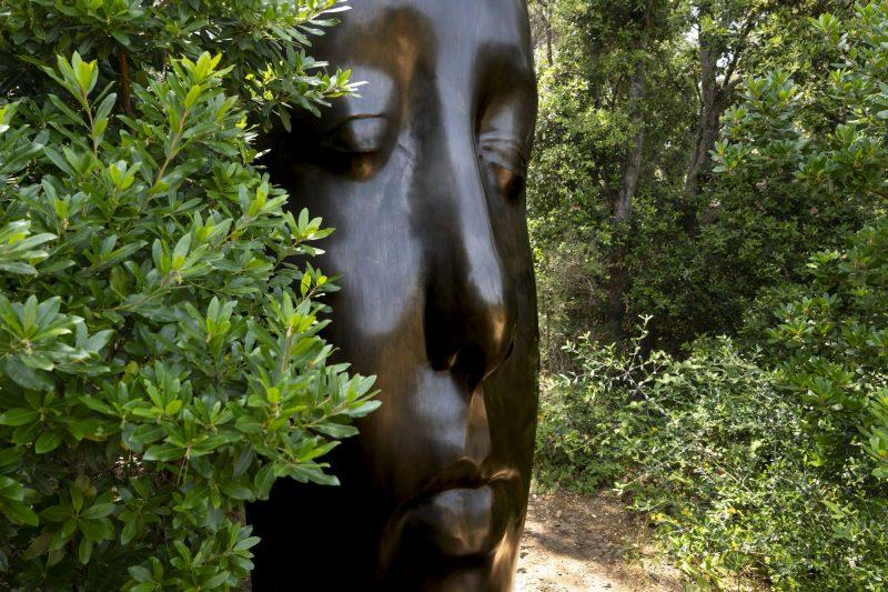 Fondation Carmignac île de Porquerolles, photographe Laurent Parienti