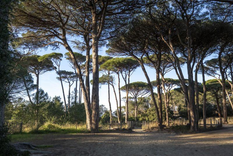 Fondation Carmignac île de Porquerolles, photographe Laurent Parienti