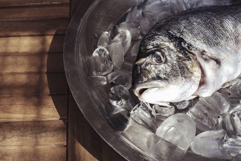 Photo de l'Hôtel Surplage à Cavaliere dans le Var
