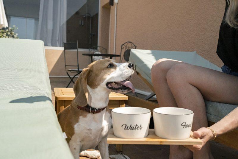 Photo de l'Hôtel Surplage à Cavaliere dans le Var